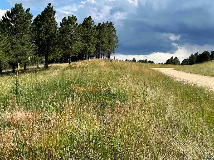 Lot 22 Summit Pass, Whitewood, SD 57793 - #2