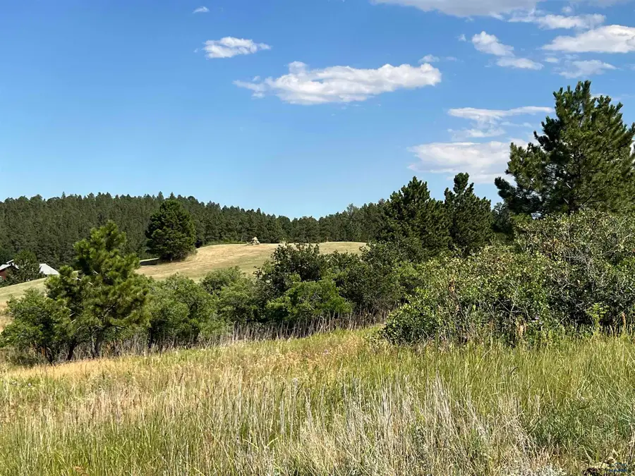 Lot 22 Summit Pass, Whitewood, SD 57793 - #3