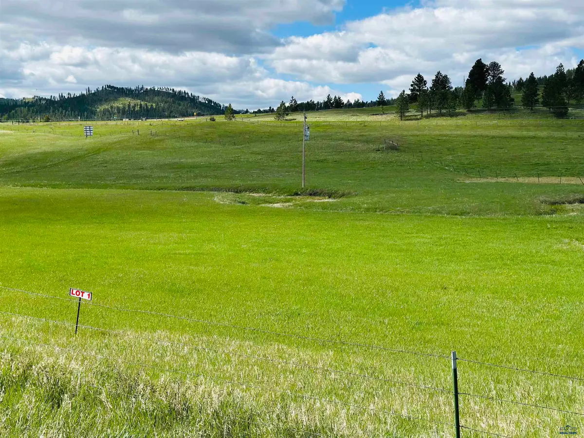 Lot 1 McVey Rd Hill City, Hill City, SD 57745 - #1