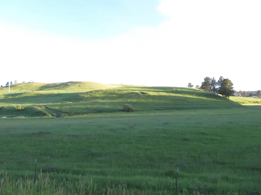 Lot 5 McVey Rd Hill City, Hill City, SD 57745 - #3