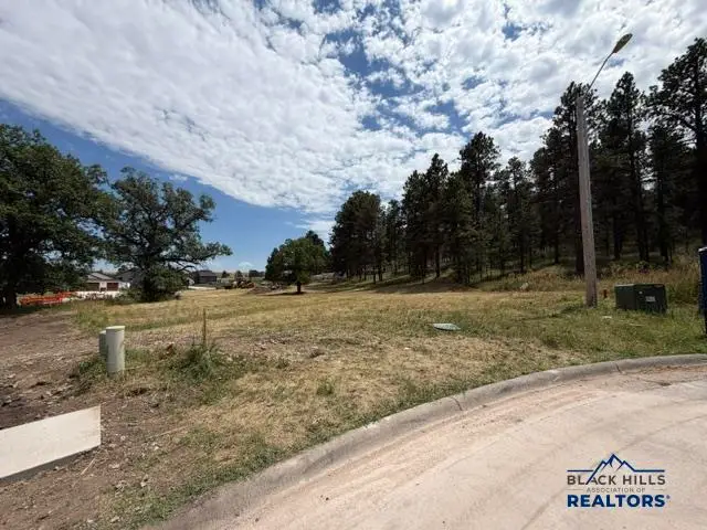 3542 Jarvis Ct, Sturgis, SD 57785-9602 - #2