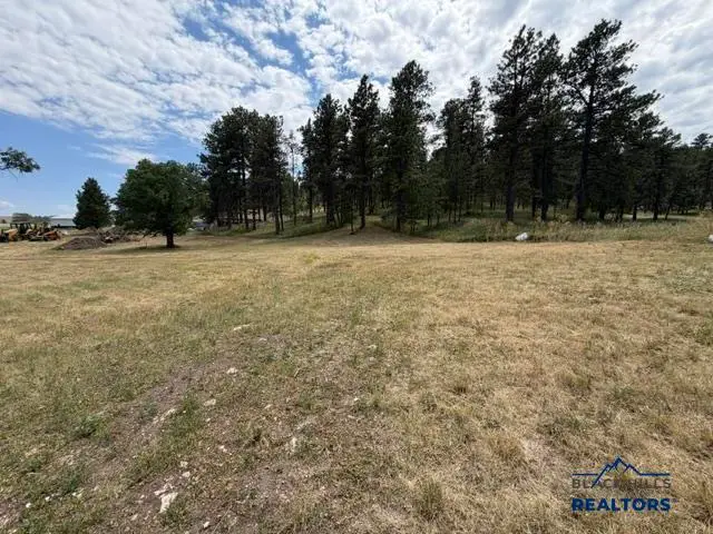 3542 Jarvis Ct, Sturgis, SD 57785-9602 - #3