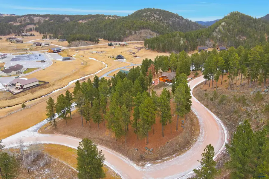 Lot 13 Placer Pl, Hill City, SD 57745 - #2