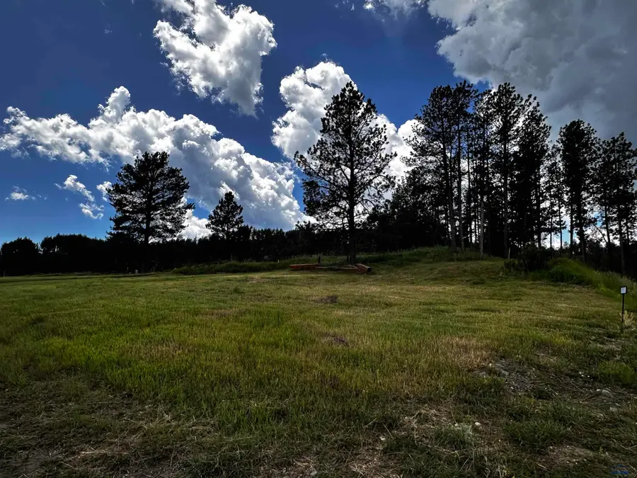 Blk 7 Lot 7 Other, Hill City, SD 57745 - #3