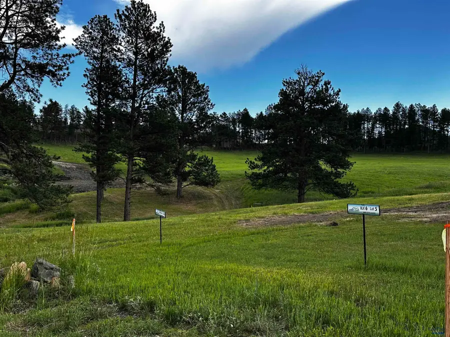 Blk 7 Lot 10 Other, Hill City, SD 57745 - #3