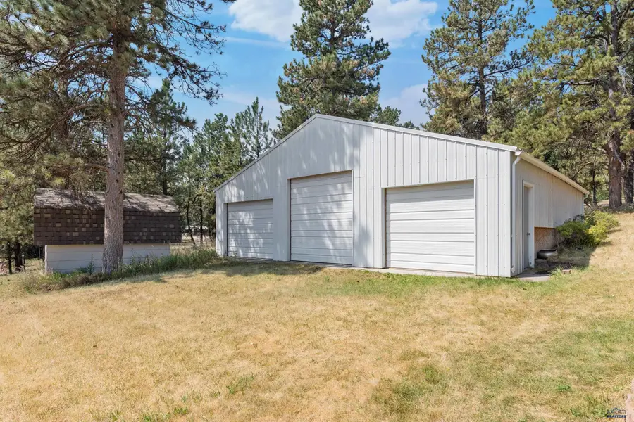 10311 Pine Canyon Rd, Black Hawk, SD 57718 - #3