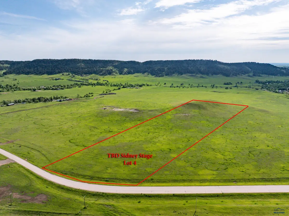 Lot 4 Sidney Stage Rd, Piedmont, SD 57769 - #1