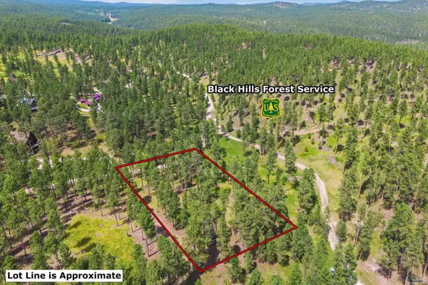 Lot 10 Sunnyside Gulch Rd, Silver City, SD 57702
