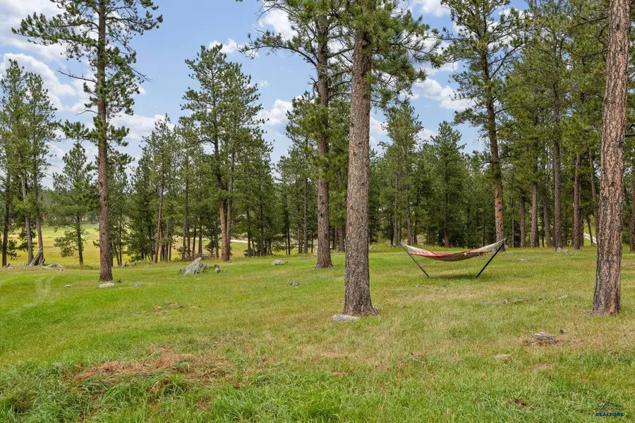 12378 Tin Cup Trail, Custer, SD 57730-0000 - #2