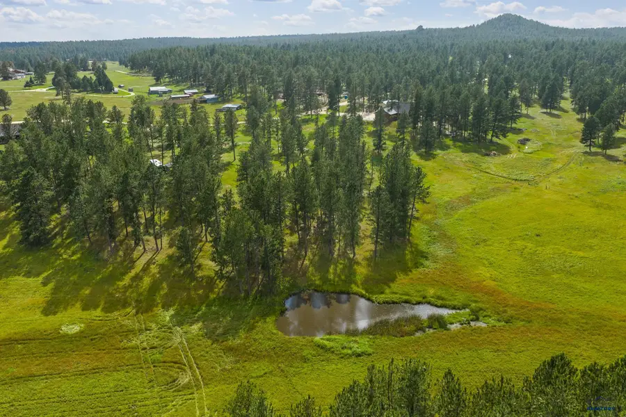 12378 Tin Cup Trail, Custer, SD 57730-0000 - #3