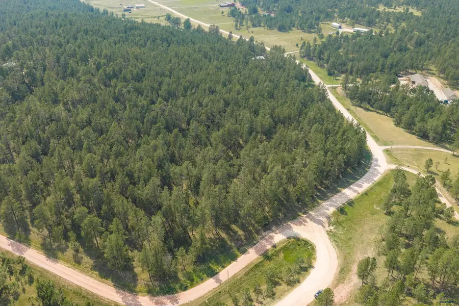 Tract 34 Mountain Lion Ln, Hot Springs, SD 57747 - #2