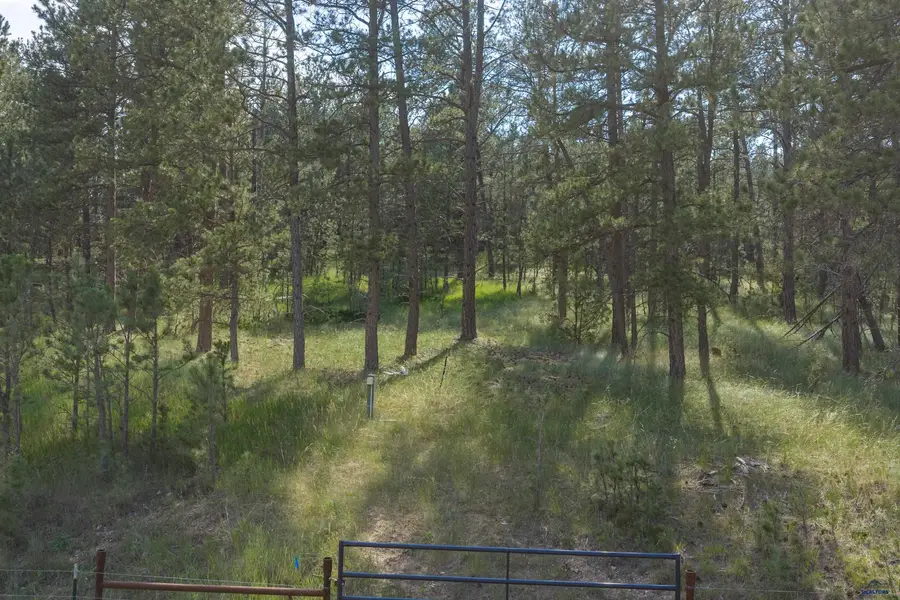 Tract 34 Mountain Lion Ln, Hot Springs, SD 57747 - #3