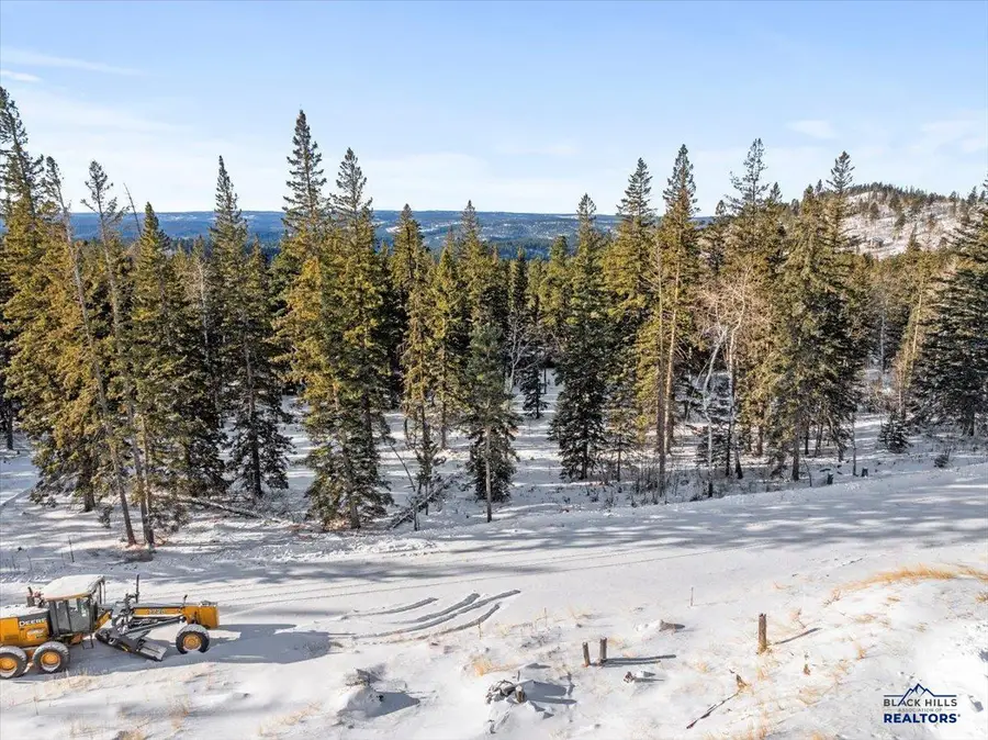 Lot 4 Lost Camp Trail, Lead, SD 57754 - #2