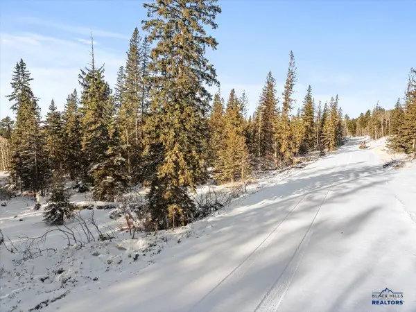 Lot 5 Lost Camp Trail, Lead, SD 57754
