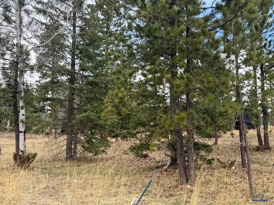 Lot 6 Blk 4 Trailside Add, Lead, SD 57754 - #2