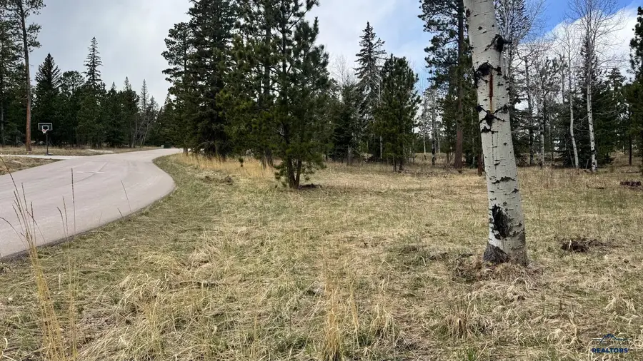 Lot 6 Blk 4 Trailside Add, Lead, SD 57754 - #3