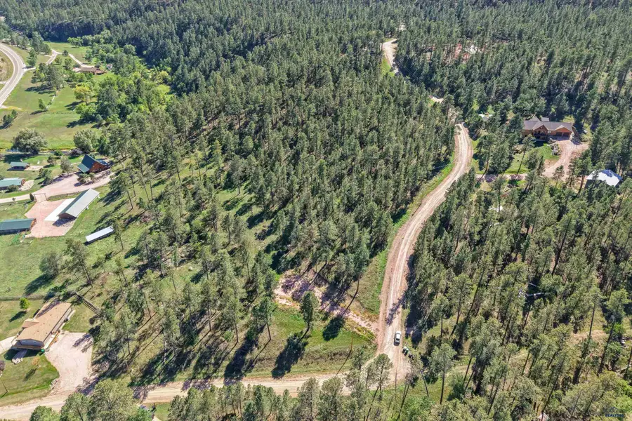 24409 Milo Ln, Keystone, SD 57751 - #2