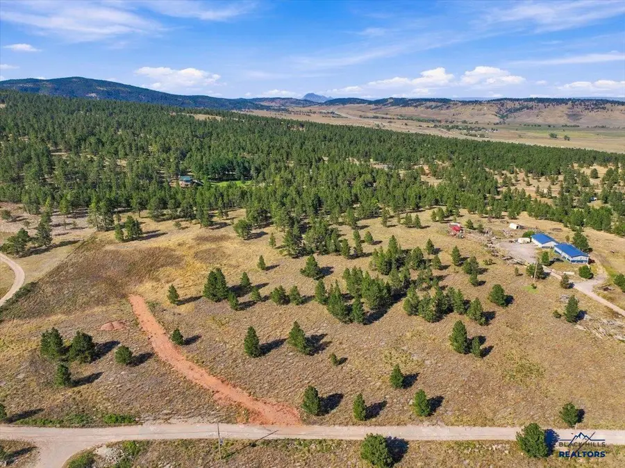 13054 Homer Smith Rd, Piedmont, SD 57769 - #2