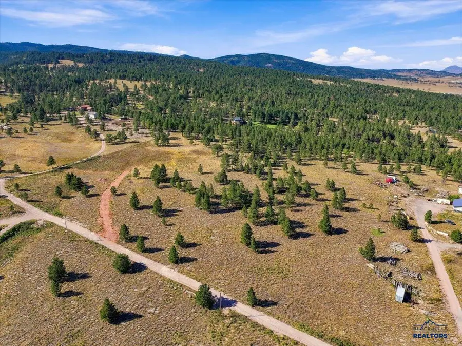 13054 Homer Smith Rd, Piedmont, SD 57769 - #3
