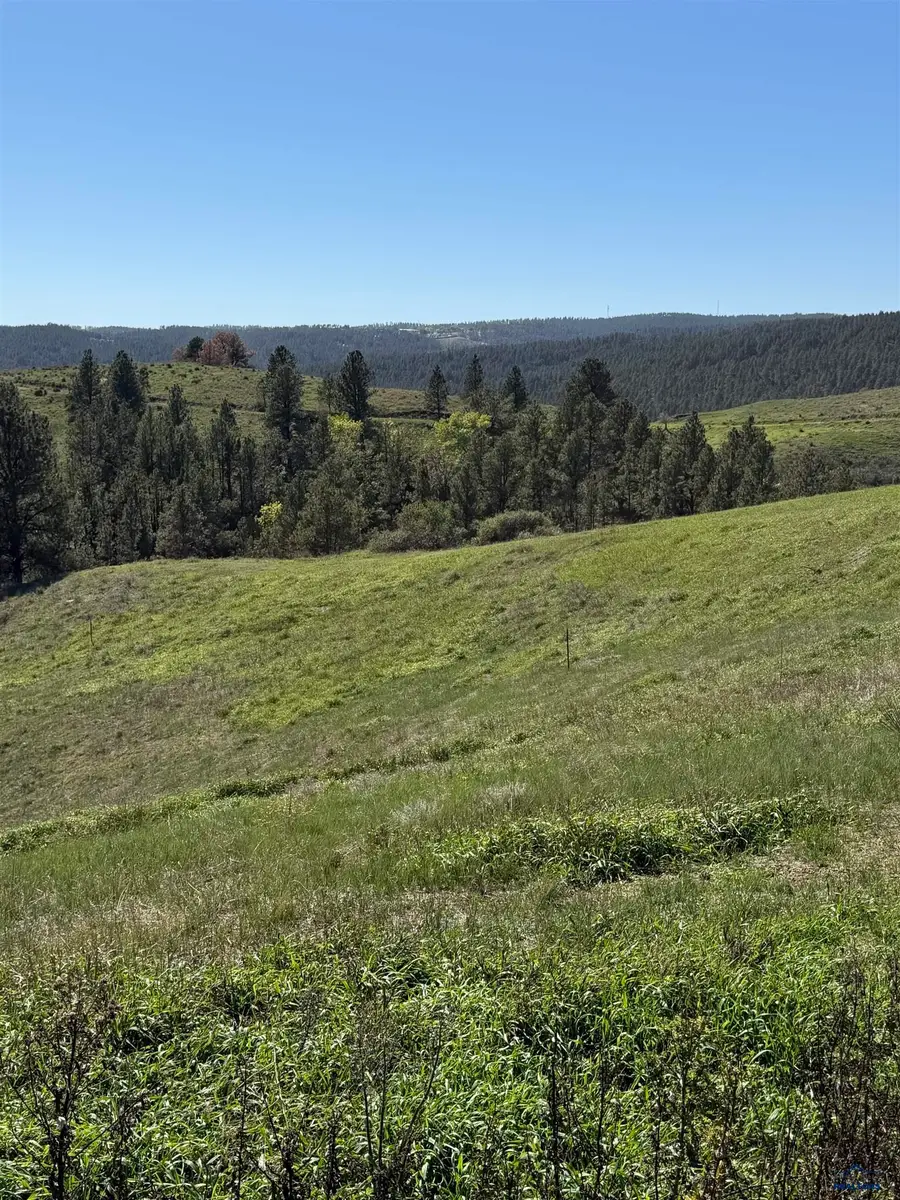 TBD Moon Meadows Dr, Rapid City, SD 57702 - #3