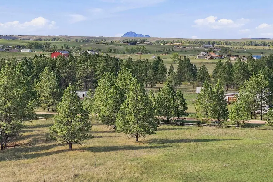 2451 Forest Pl, Rapid City, SD 57701 - #2