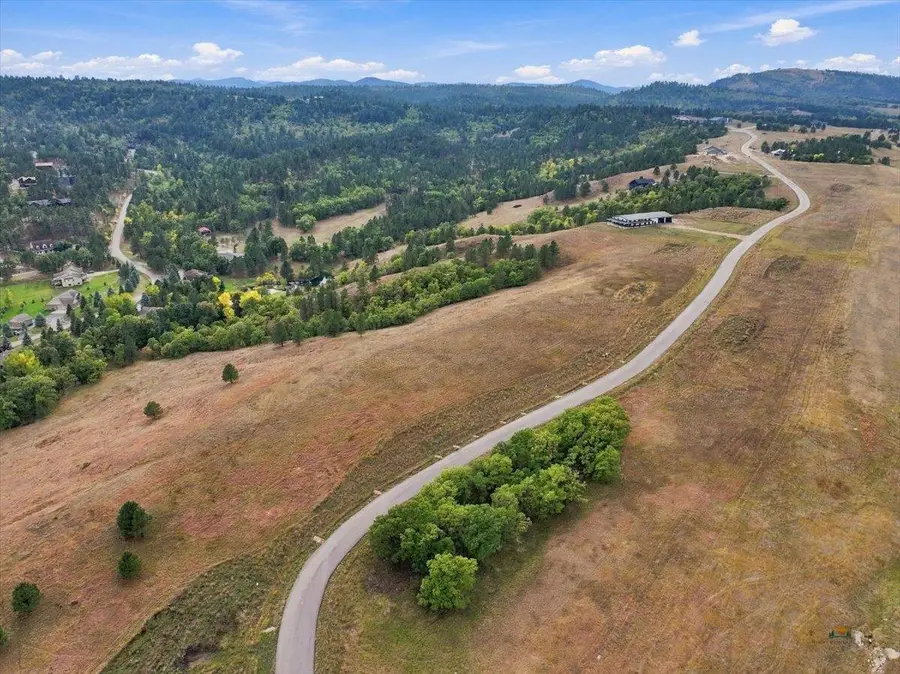 Lot 1 Wild Flower Dr, Whitewood, SD 57793 - #3