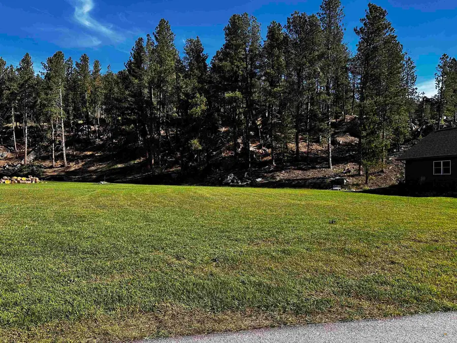 528 Major Lake Dr, Hill City, SD 57745 - #3