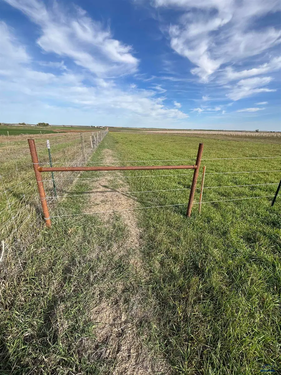 18204 Experimental Farm Road, Newell, SD 57760 - #3
