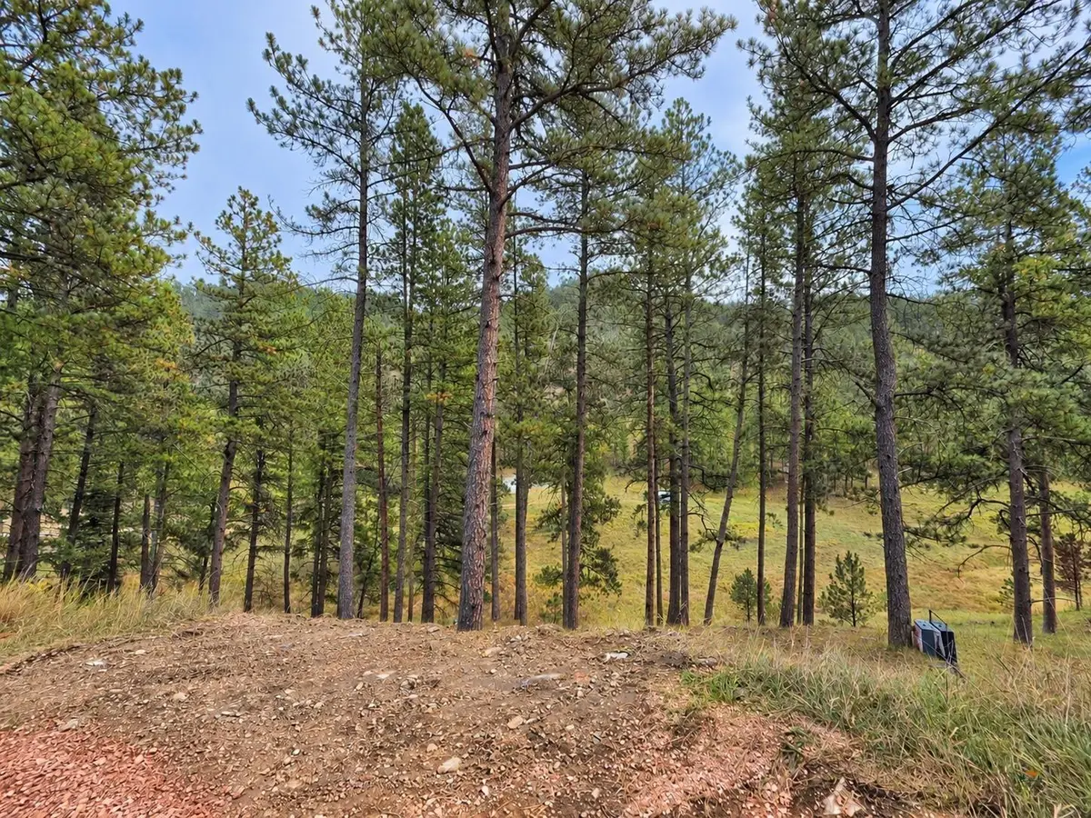 TBD Placer Place Ct, West Pennington, SD 57702 - #1