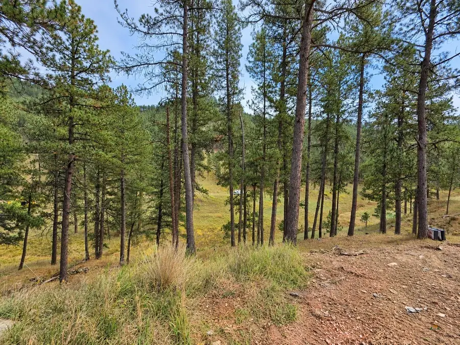 TBD Placer Place Ct, West Pennington, SD 57702 - #2