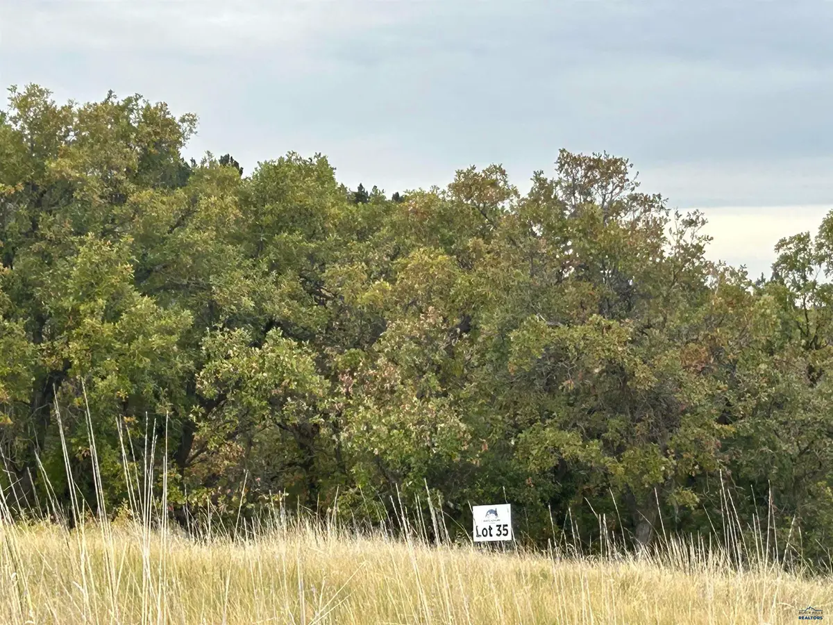 Lot 35 Prairie View Loop, Whitewood, SD 57793 - #1