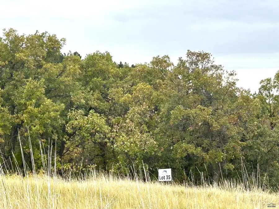 Lot 35 Prairie View Loop, Whitewood, SD 57793 - #3