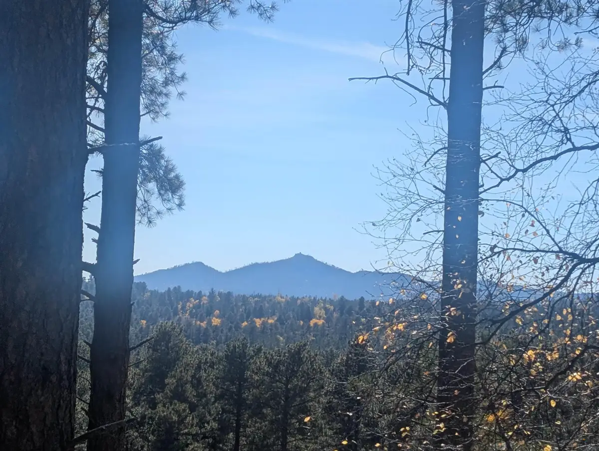 11795 Gilt Edge Rd, Deadwood, SD 57732 - #1