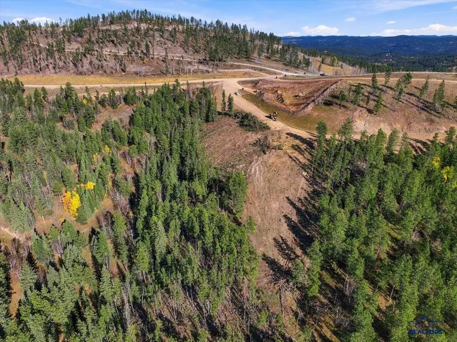 Lot 114 Deer Mountain, Lead, SD 57754 - #2