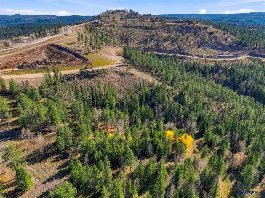 Lot 114 Deer Mountain, Lead, SD 57754 - #3