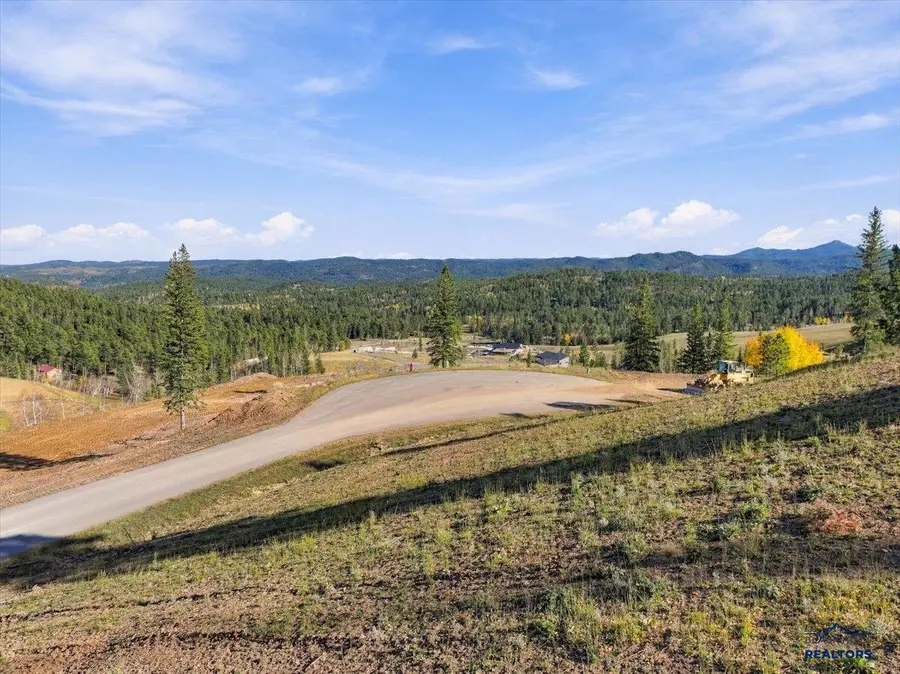 Lot 60 Deer Mountain, Lead, SD 57754 - #3
