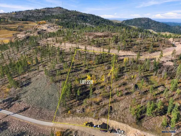 Lot 228 Deer Mountain, Lead, SD 57754