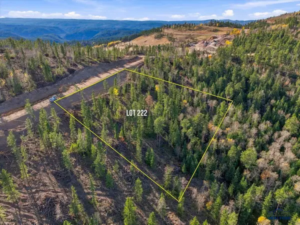 Lot 222 Deer Mountain, Lead, SD 57754