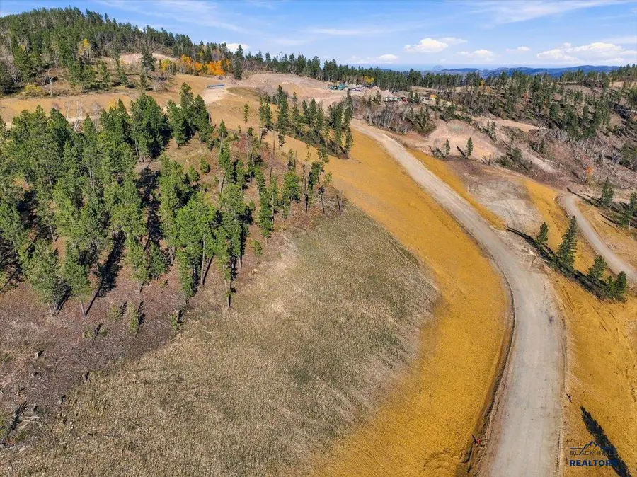 Lot 172 Deer Mountain, Lead, SD 57754 - #2