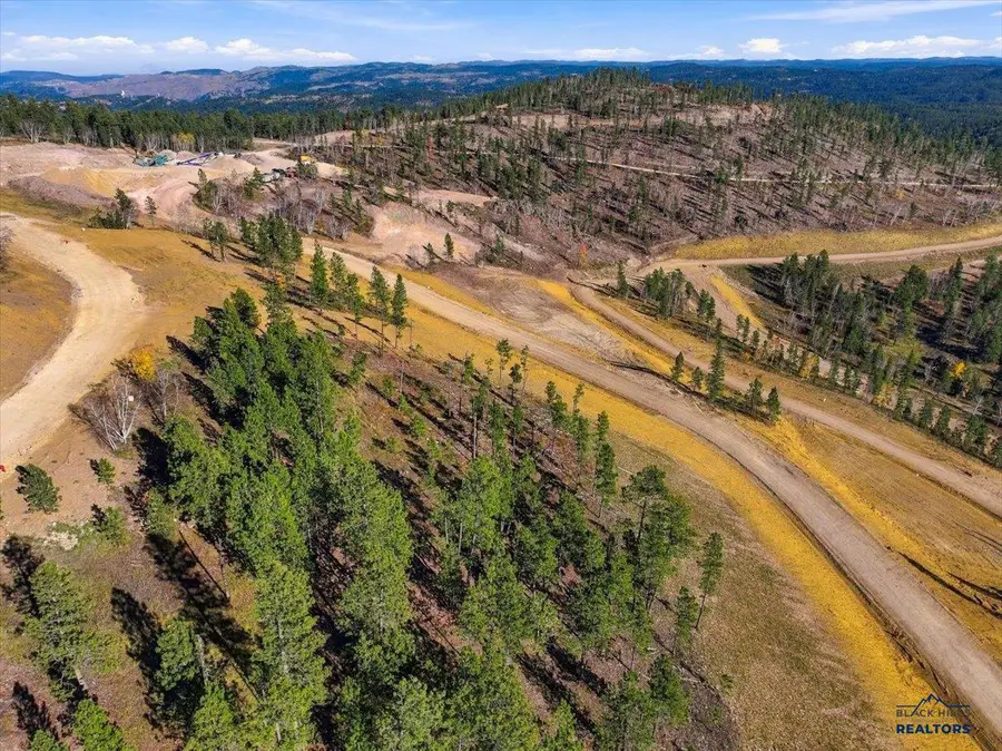 Lot 172 Deer Mountain, Lead, SD 57754 - #3
