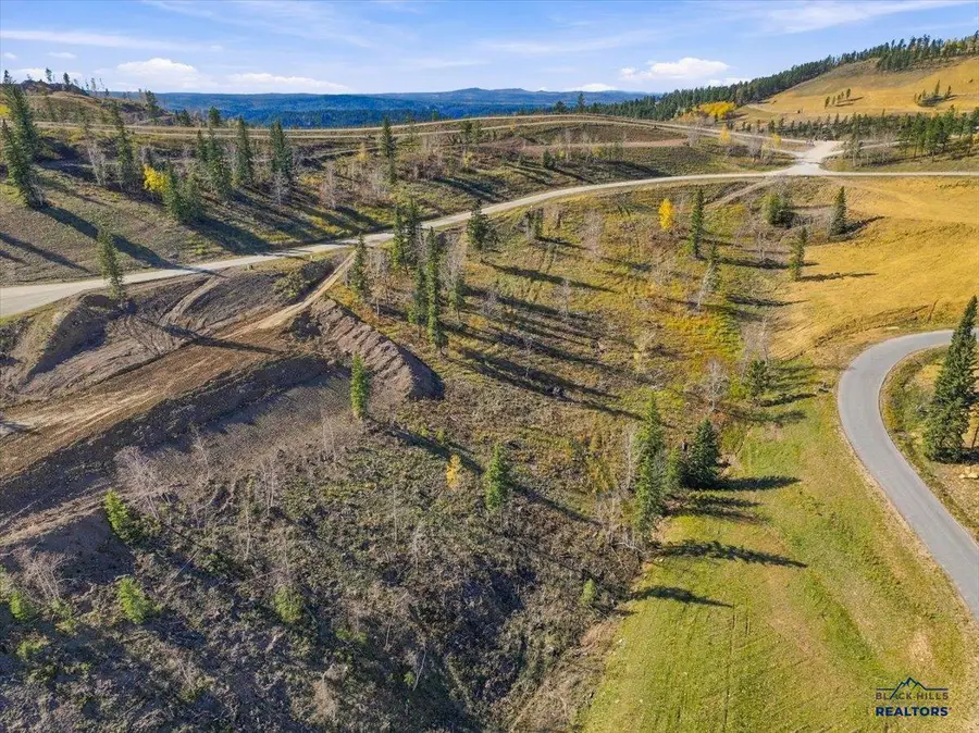 Lot 43 Deer Mountain, Lead, SD 57754 - #2