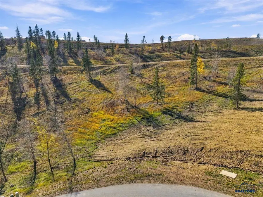 Lot 42 Deer Mountain, Lead, SD 57754 - #2