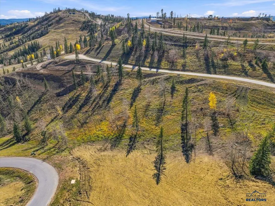 Lot 42 Deer Mountain, Lead, SD 57754 - #3