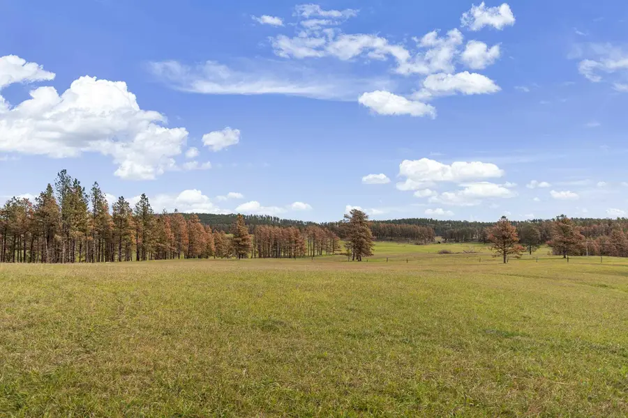 TBD Lot 1 Neck Yoke Rd, Rapid City, SD 57702 - #2