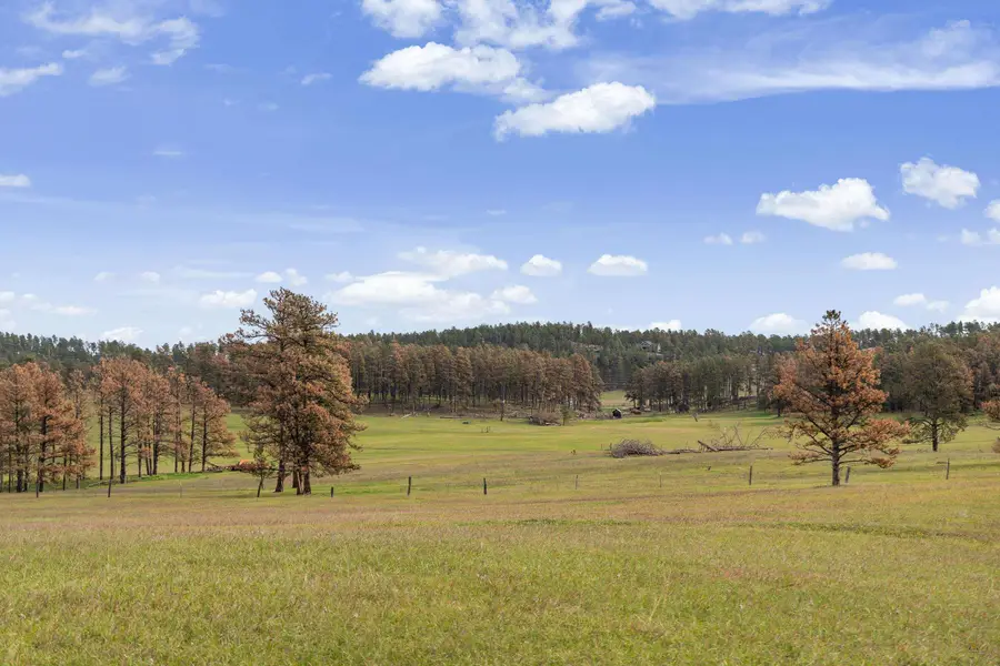 TBD Lot 1 Neck Yoke Rd, Rapid City, SD 57702 - #3