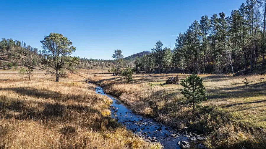 25287 Lower French Creek Rd, Custer, SD 57730 - #2