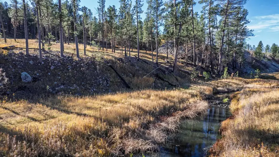 25287 Lower French Creek Rd, Custer, SD 57730 - #3