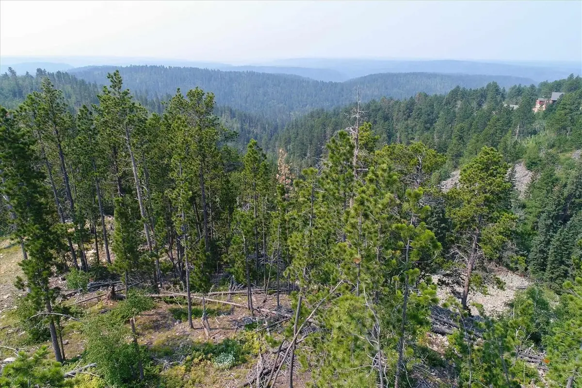 Lot 14 Block 10 Gold Pan Trail, Lead, SD 57754 - #1