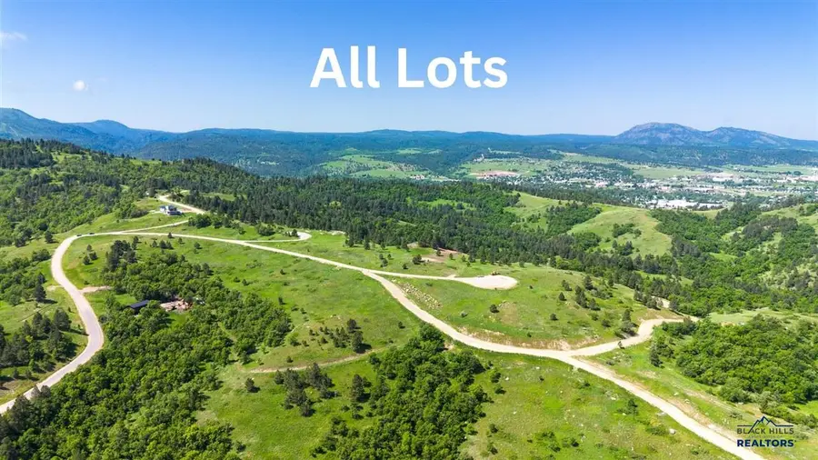 Tract 12A Lookout Vista Road, Spearfish, SD 57783 - #3