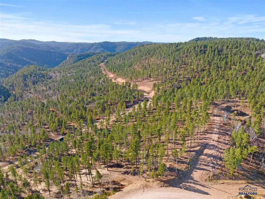 Lot 103R Paradise Gulch Loop, Lead, SD 57754 - #2